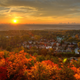 Illustration for article titled 100 Gorgeous Photos Of Fall Leaves